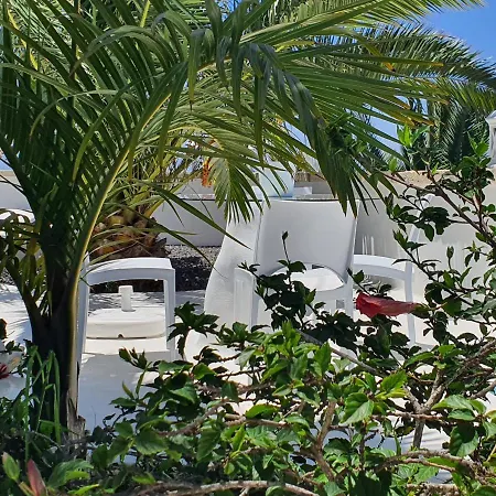 Adriano Сабина-Альта