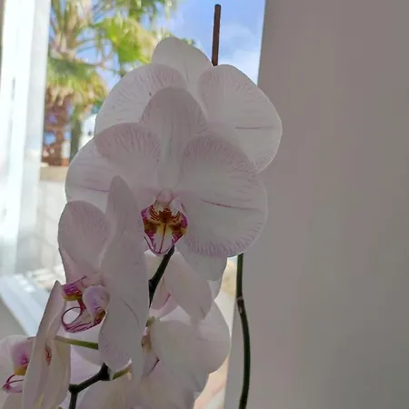 Adriano Дом отдыха *